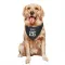 Black New York Jets Brandin Echols   Dog & Cat Pet Bandana